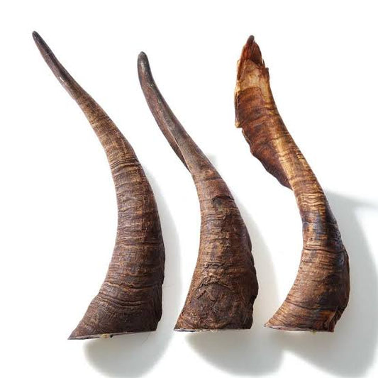 KAZOO PRIME CUTS GOAT HORN LARGE