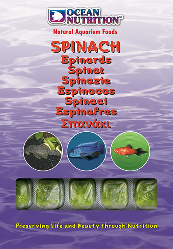 OCEAN NUTRITION FROZEN SPINACH 100G