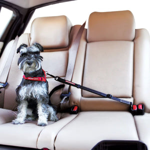 EZYDOG SEATBELT CLICK BLACK