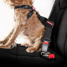 Load image into Gallery viewer, EZYDOG CAR SEAT ATTACHMENT