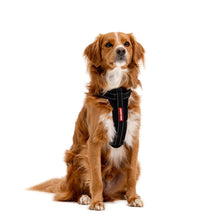 Load image into Gallery viewer, EZYDOG HARNESS CP XS BLACK