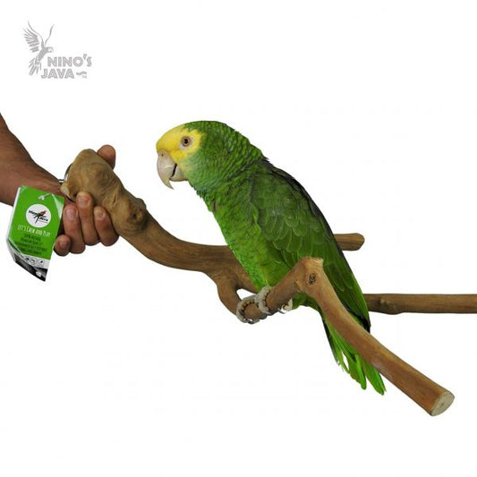 NINO'S JAVA MULTI BRANCH MEDIUM