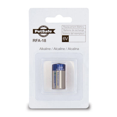 6 VOLT ALKALINE BATTERY