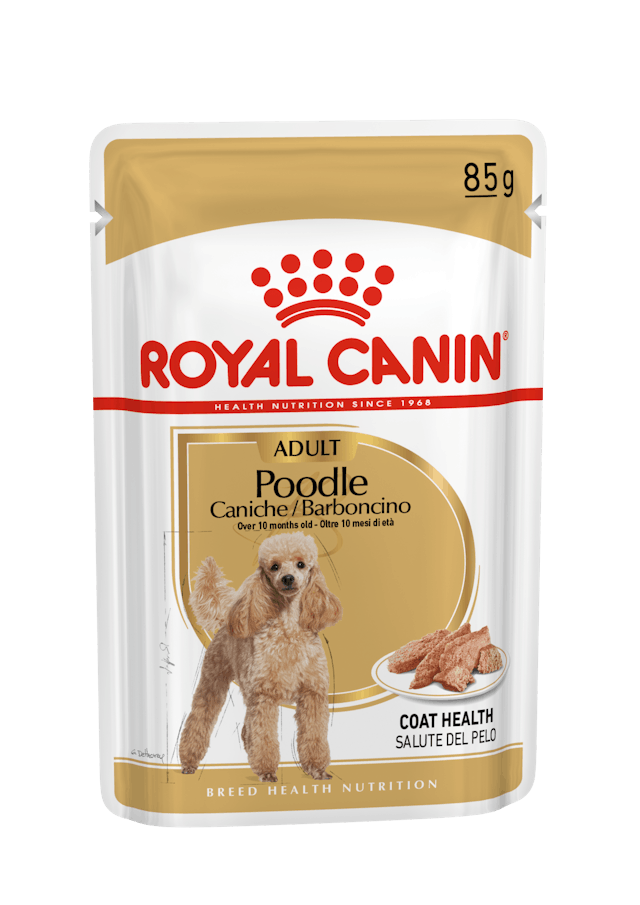 ROYAL CANIN DOG WET POODLE 85G