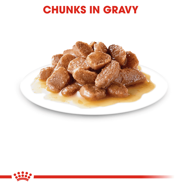 Pack of DISCONTINUED-ROYAL CANIN CAT ULTRA LIGHT GRAVY 85G