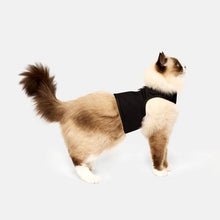 Load image into Gallery viewer, CATVENTURE CAT HARNESS BLACK SMALL