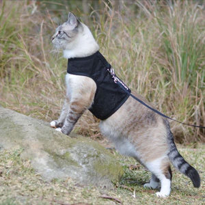 CATVENTURE CAT HARNESS BLACK LARGE