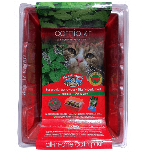 MR F/GILL CATNIP KIT