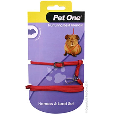 PET ONE LEASH & HARNESS GUINEA PIG RED