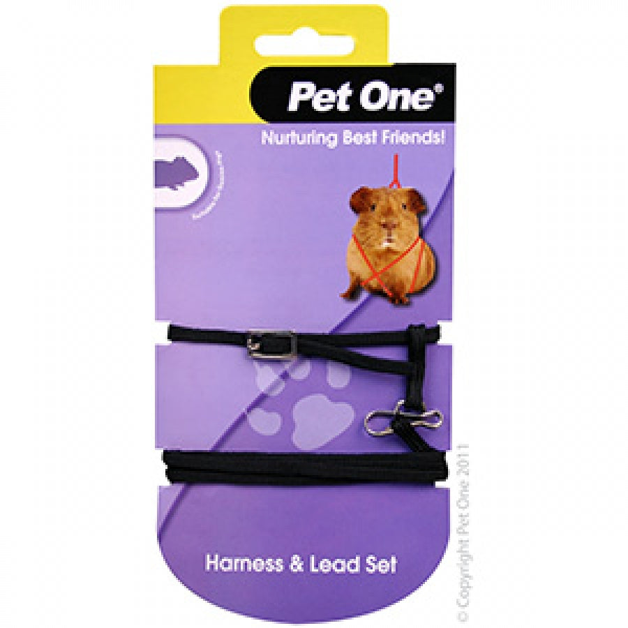 PO LEASH & HARNESS GUINEA PIG BLACK