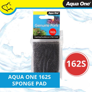 AO SPONGE 1PK 162S - BETTA HAVEN