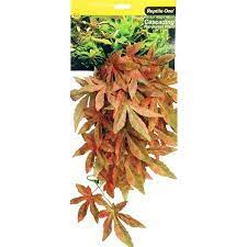 REPTILE ONE PLANT SATIVIA RED 70CM