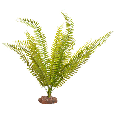 REPTILE PLANT LG FERN GREEN WITH CERAMIC BASE