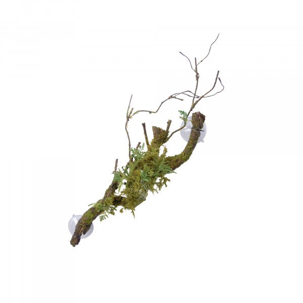 ECO TECH VINE CLUSTER W/MOSS LICHEN LARGE