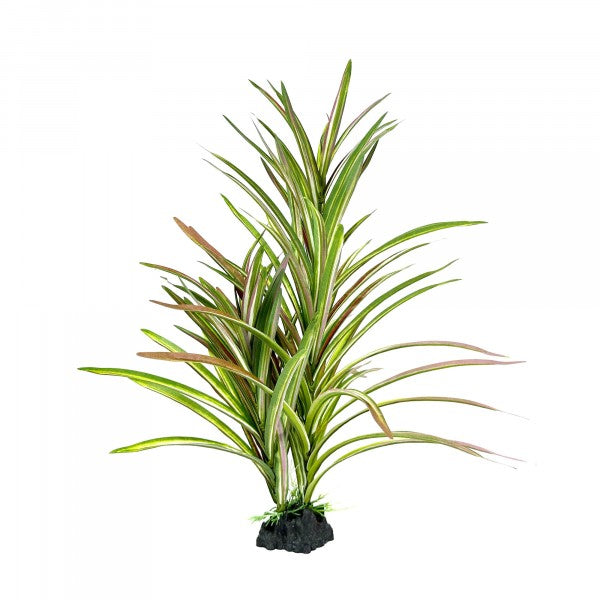 AMAZON JUNGLE UPRIGHT SPINIFEX XL 42CM