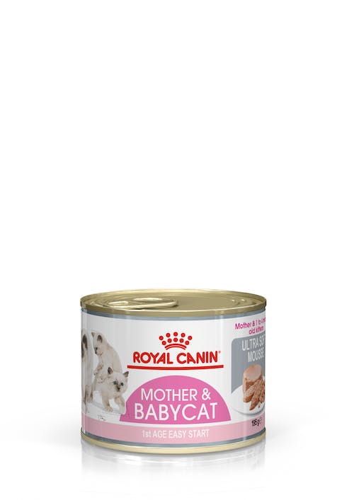 ROYAL CANIN CAT MOTHER & BABYCAT 100G