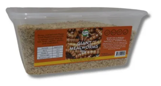 PISCES LIVE GIANT MEALWORMS 100G