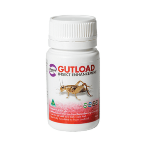 GUTLOAD INSECT ENHANCE 40G