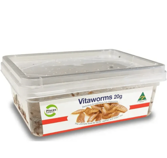 PISCES VITAWORMS 20G