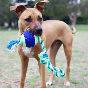 KAZOO TWISTED ROPE SLING TENNIS BALL MEDIUM