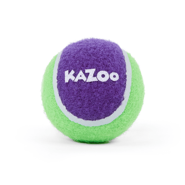 KAZOO SPORTS SPONGE BALL ASSORTED MEDIUM