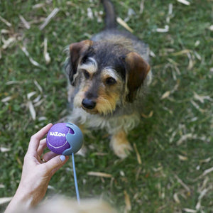 KAZOO ECO-FRIENDLY BALL THROWER MEDIUM