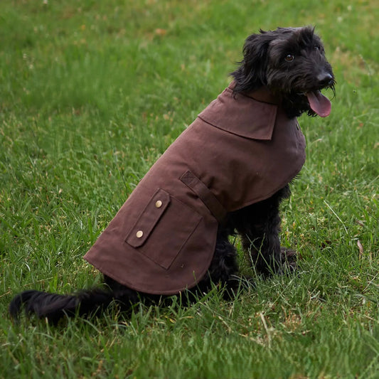 KAZOO COAT OILSKIN BROWN 46CM