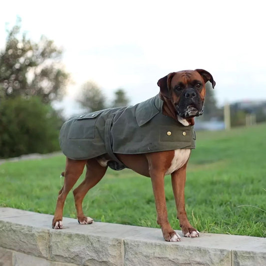 KAZOO COAT OILSKIN OLIVE 59.5CM