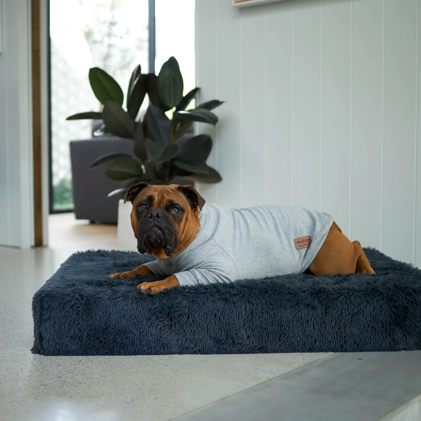 KAZOO COAT POOCH PAJAMAS GREY 53