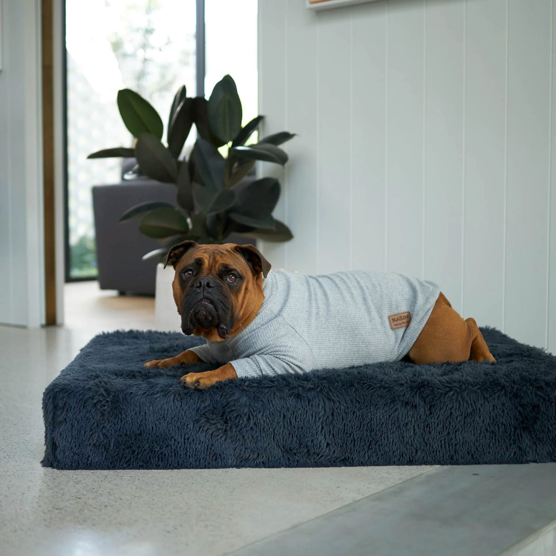KAZOO COAT POOCH PAJAMAS GREY 53