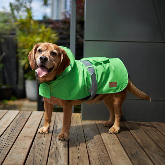 KAZOO COAT RAINY DAYS NEON GREEN 53