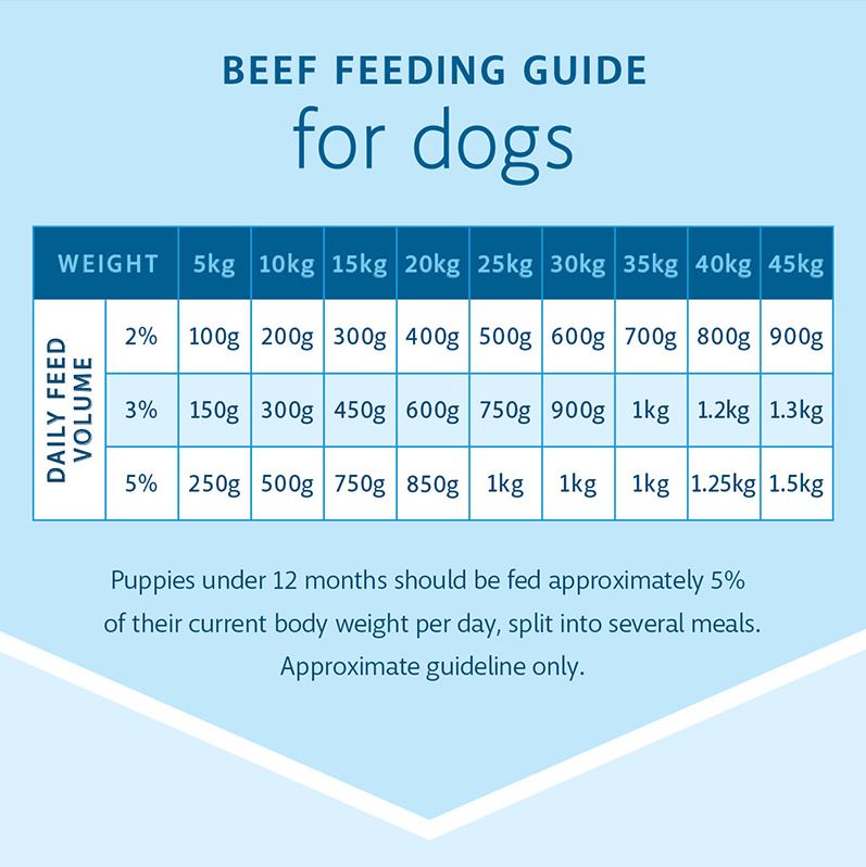 RAW 4 PAWS BEEF 8X200G PORTIONS 1.6KG