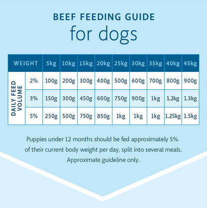 RAW 4 PAWS BEEF 8X200G PORTIONS 1.6KG