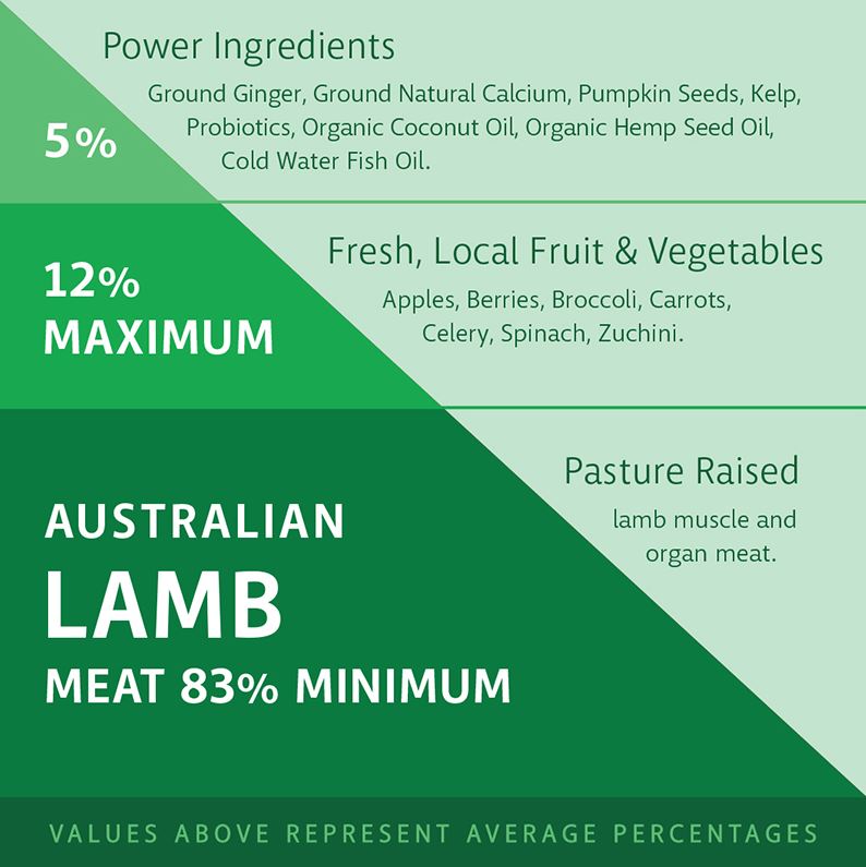 RAW 4 PAWS LAMB 1KG TUB