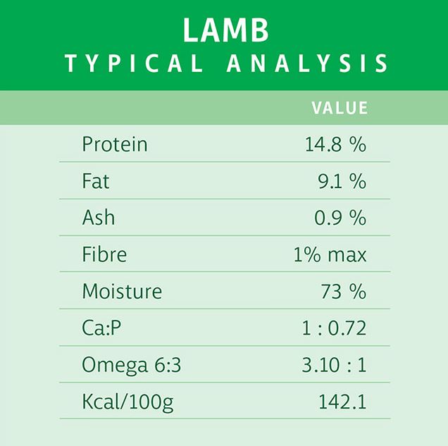 RAW 4 PAWS LAMB 1KG TUB