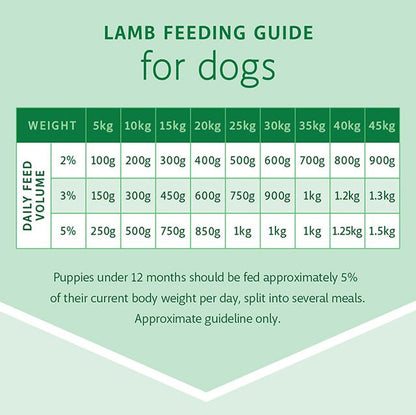RAW 4 PAWS LAMB 1KG TUB