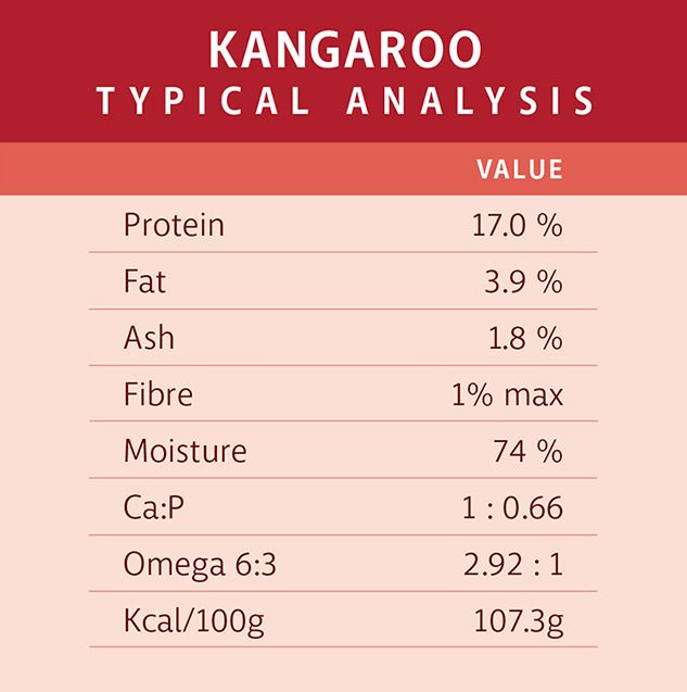 RAW 4 PAWS KANGAROO 1KG TUB