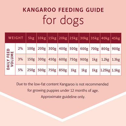 RAW 4 PAWS KANGAROO 1KG TUB