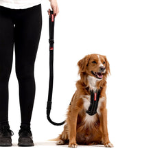 Load image into Gallery viewer, EZYDOG LEASH ZERO SHOCK 48 CORDUROY