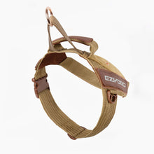 Load image into Gallery viewer, EZYDOG HARNESS EXPRESS CORDUROY SM